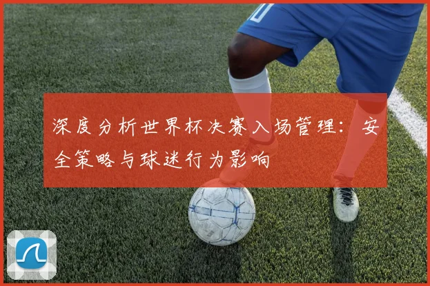 深度分析世界杯决赛入场管理：安全策略与球迷行为影响