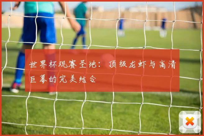 世界杯观赛圣地：顶级龙虾与高清巨幕的完美结合