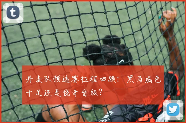 丹麦队预选赛征程回顾：黑马成色十足还是侥幸晋级？