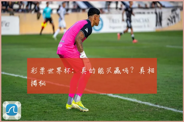彩票世界杯:真的能买赢吗?真相揭秘