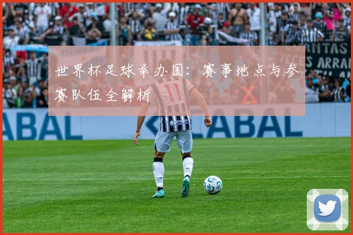 世界杯足球举办国:赛事地点与参赛队伍全解析