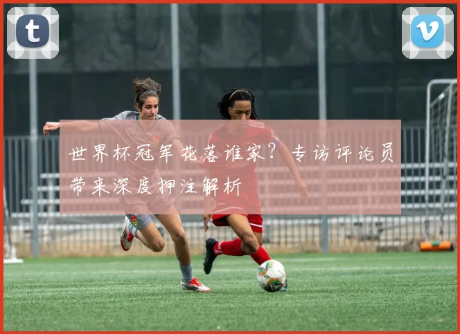 世界杯冠军花落谁家?专访评论员带来深度押注解析