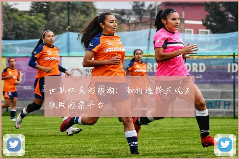 世界杯竞彩热潮：如何选择正规互联网彩票平台