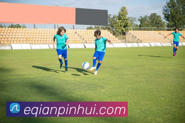 登录器